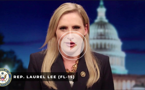 Rep Laurel Lee
